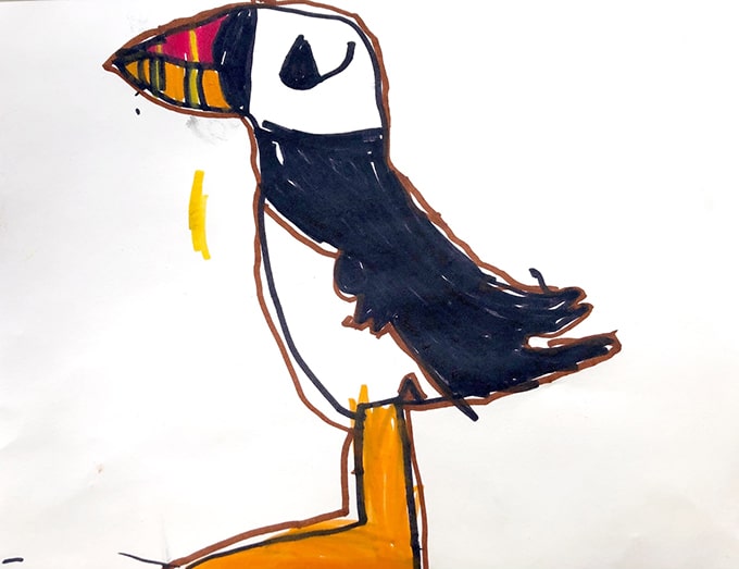 Puffin drawing